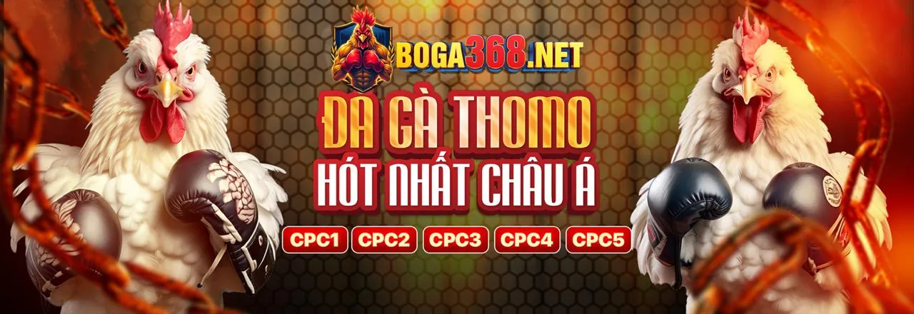 Trò chuyện trực tuyến 24/7