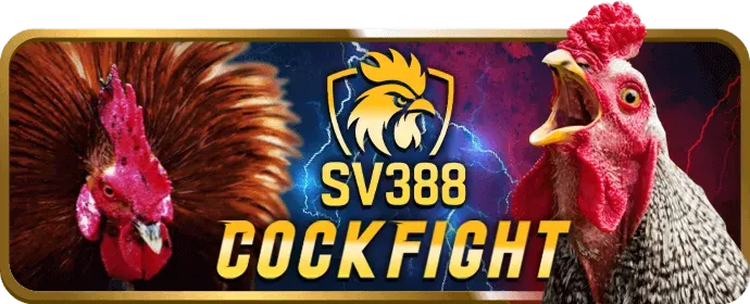 Cược miễn phí VN88